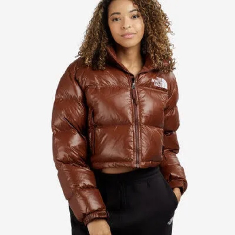 North face nuptse short